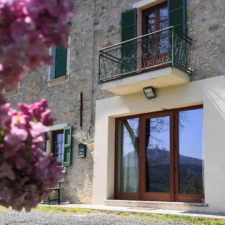 B&B Demetra Solignano Bagian luar foto